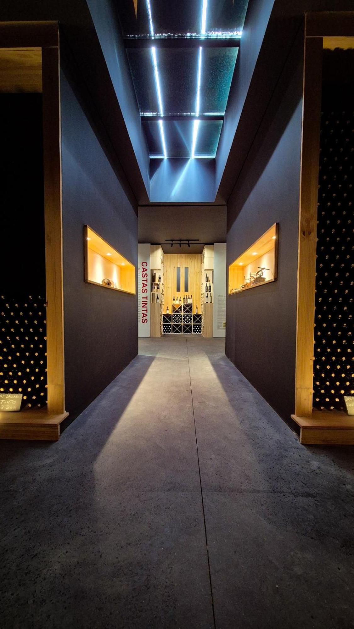 ピニョン Dois Lagares House Bed & Breakfast エクステリア 写真